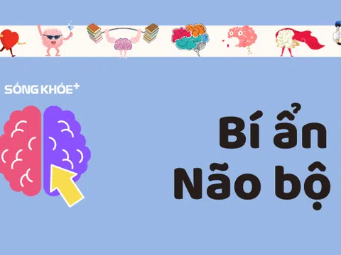 Con người đã sử dụng não hết công suất chưa, nếu có thì chuyện gì sẽ xảy ra?